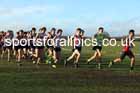Junior Mens 2026 Northern Cross Country Champs., Pontefract Racecourse, Pontefract. Photo: David T. Hewitson/Sports for All Pics